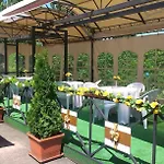 Hotel Abc 2*